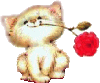 :cvet8: