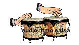 :bongo